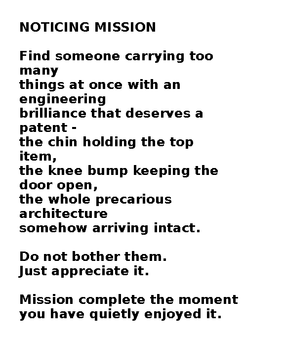 Noticing Mission