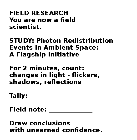 Field Research